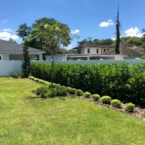 Bush Trimming by H & S Lawn Service. reviewed on August 15, 2025
