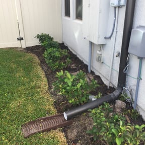 Bush Trimming by Greener Grass Cutting reviewed on August 18, 2025