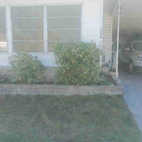 Bush Trimming by iMowLawnService reviewed on August 18, 2025
