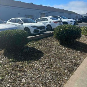 Bush Trimming by Hector’s Landscaping reviewed on August 21, 2025