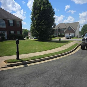 yard service by Lawncare By the beach reviewed on August 17, 2025