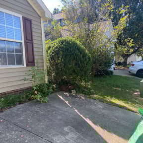 Bush Trimming by Santos Lawn Service reviewed on August 16, 2025