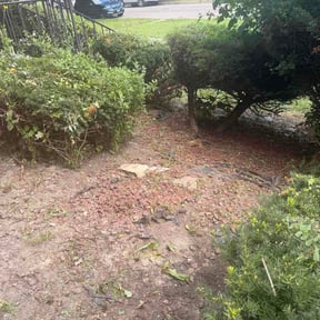 Flower Bed Weeding by Wake and rake lawn care and landscaping reviewed on August 30, 2026