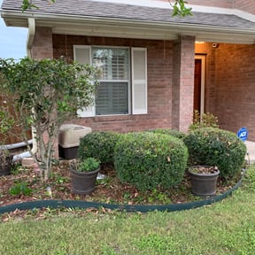 Bush Trimming by Blossom Lawn Care reviewed on June 11, 2025