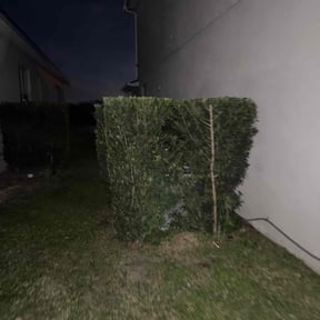 Bush Trimming by Custom Remodeling and Restoration reviewed on November 19, 2025