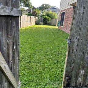 yard maintenance by Complete Lawn Care reviewed on August 15, 2025