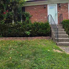 Bush Trimming by Lawn and Order-Special Lawn Unit LLC reviewed on August 23, 2026