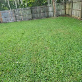 yard work by Painlessmaintenance.llc reviewed on December 11, 2025