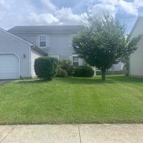 Bush Trimming by Pugh & Sons Lawn and Maintenance reviewed on August 19, 2025