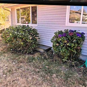 Bush Trimming by Kyle Yacko reviewed on August 26, 2026