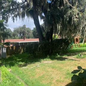 Bush Trimming by M & F Landscaping Services LLC reviewed on August 15, 2025