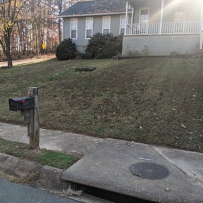 Leaf Removal by Tonys Landscaping LLC reviewed on August 18, 2025