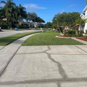 yard work by Familia Salazar Landscaping reviewed on August 15, 2025