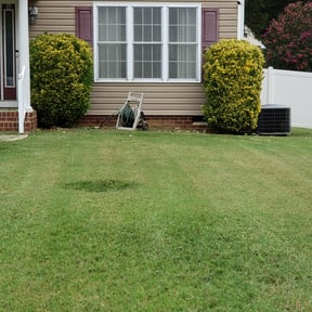 Bush Trimming by KG Grounds reviewed on August 20, 2025