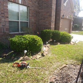 Bush Trimming by Central TX Services reviewed on August 20, 2025