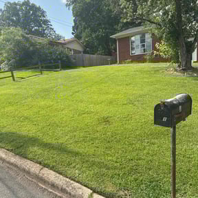 gardening service by Frederickson Lawn Management reviewed on August 16, 2025