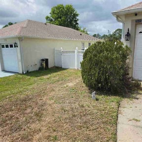 Bush Trimming by Goat Mode Lawncare Services LLC reviewed on March 29, 2026