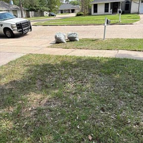Leaf Removal by EA Landscaping reviewed on July 2, 2026