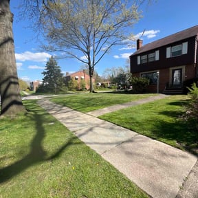 yard work by Greenview Lawn Solutions llc reviewed on August 17, 2025