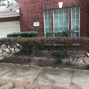 Bush Trimming by Bobby&#039;s Lawn &amp; Home Maintenance LLC reviewed on August 18, 2025