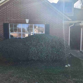 Bush Trimming by LEL landscape reviewed on December 23, 2025