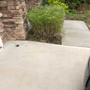 Bush Trimming by Jerusalemlawncareservice reviewed on August 18, 2025