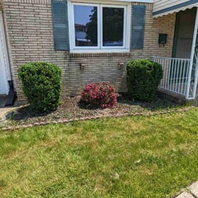 Bush Trimming by A & S Contractor LLC reviewed on August 18, 2025