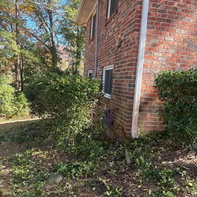 Bush Trimming by Porters Professional Lawncare reviewed on November 10, 2025