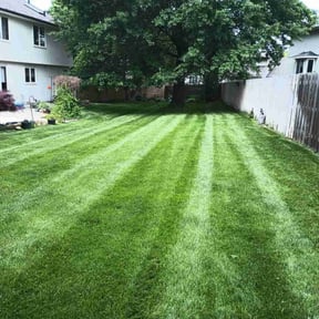 lawn care services by Lawncare By the beach reviewed on August 15, 2025