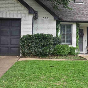 Bush Trimming by Perry’s Landscaping LLC reviewed on May 22, 2026