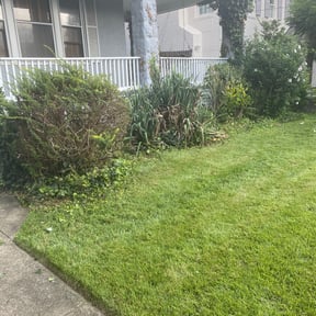 Bush Trimming by GoGreen Lawn Service reviewed on August 19, 2025
