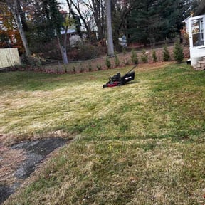 Leaf Removal by Tylik Services reviewed on November 24, 2025