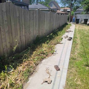Bush Trimming by Longview lawns and Land scaping LLC reviewed on August 17, 2025