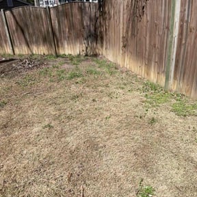 Leaf Removal by Lawn Barber reviewed on October 1, 2025