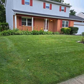 residential landscaping by Marshalls Exterior Cleaning reviewed on August 19, 2025
