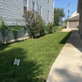 landscaping services by JJ Lawn and Tree Trimming reviewed on August 21, 2025
