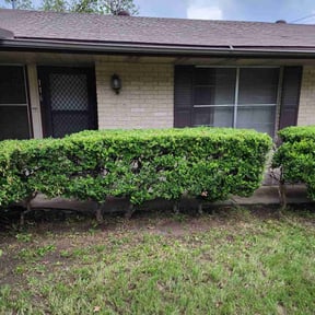 Bush Trimming by 3DM reviewed on August 15, 2025