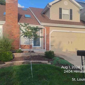 yard maintenance by Rocco’s Lawn Services, LLC reviewed on November 23, 2025