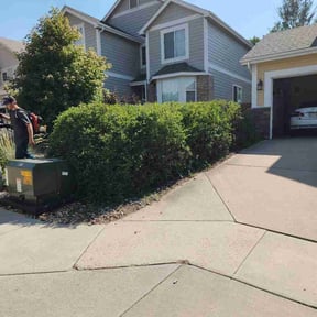 Bush Trimming by Lawn Care Plus reviewed on July 8, 2026