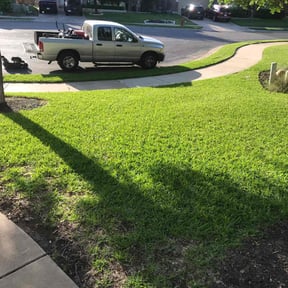 grass maintenance by Paramount Professional Services reviewed on April 5, 2024