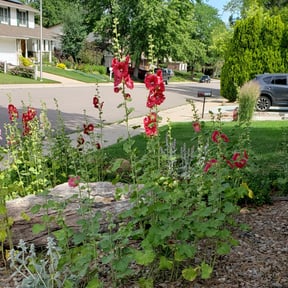 Flower Bed Weeding by Flawless Exterior Services reviewed on August 19, 2025