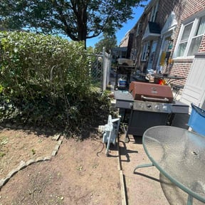 Bush Trimming by Helping Hands reviewed on November 19, 2025