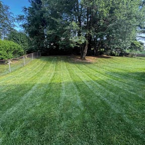residential landscaping by JMN Lawn reviewed on August 19, 2025