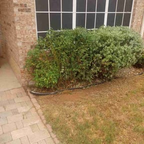 Bush Trimming by N&J Lawn Care reviewed on August 21, 2025