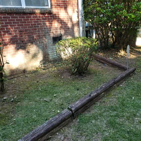 Bush Trimming by Damian Cornelious & Son Lawn care Services reviewed on August 18, 2025