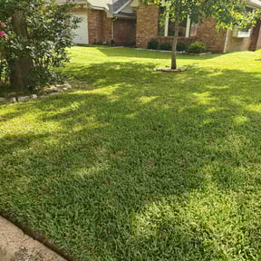 residential landscaping by Turf Doctor’s Lawn Care reviewed on November 24, 2025