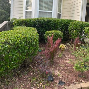 Bush Trimming by Ayres inc. reviewed on August 21, 2025
