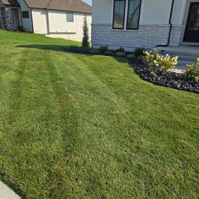 residential landscaping by Brian The Yard Barber LLC reviewed on August 18, 2025