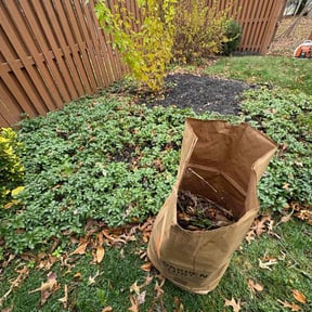 Bush Trimming by A1 landscaping reviewed on November 21, 2025