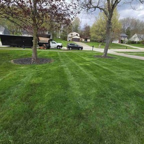 yard work by 3J’s Lawn Care and Gardening Service reviewed on August 19, 2025